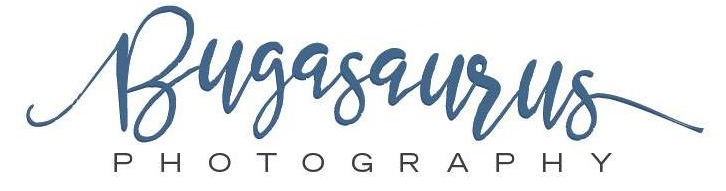 Bugasaurus Photography | Concord, NC Photography